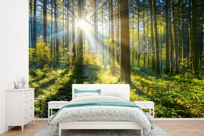Obrázek produktu pro MuchoWow® Fototapety do obývacího pokoje nebo ložnice tapety vinylové motivy tapety Les - Slunce - Léto 330x220cm