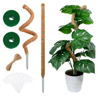 Produktbild von Monstera Rankhilfe Moosstab 2er Set - 63 cm Flexible Pflanzenstütze für Kletterpflanzen