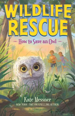 Produktbild von How to Save an Owl