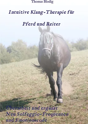 Produktbild von Intuitive Klang-Therapie für Pferd und Reiter