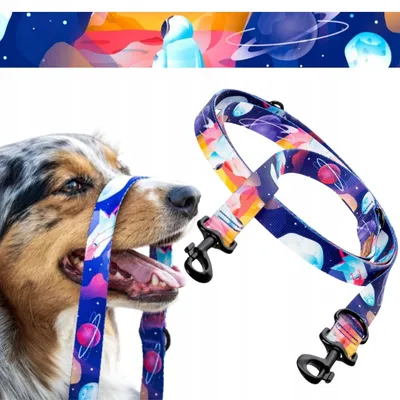 Produktbild von Ukory Verstellbare Stadtleine 240 cm für Hunde bis 6 kg