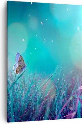 Produktbild von Bild auf Leinwand - Leinwandbild - Einteilig - Schmetterling Wiese Blume - 70x100cm - Wand Bild - Wanddeko - Wandbilder - Leinwanddruck - Wanddekoration - Leinwand bilder - Wandbild - PA70x100-4077