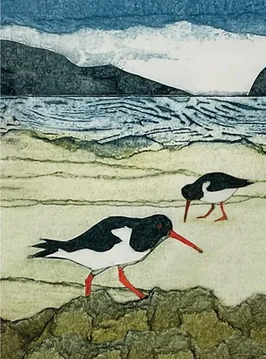 Produktbild von Wild Birds Pocket Notebook: Oystercatcher