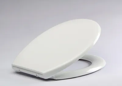 Obrázok produktu pre Toaletné sedadlo Kryt toaletného sedadla Toaletné sedadlo s rýchloupínacím mechanizmom Soft-Close Soft-Close; Saniwii OD122