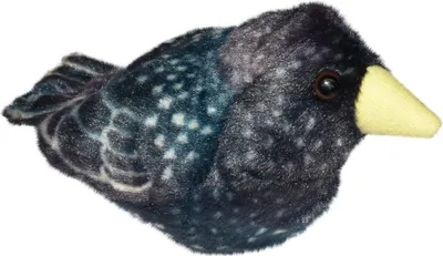 A plush toy bird is shown against a white background.