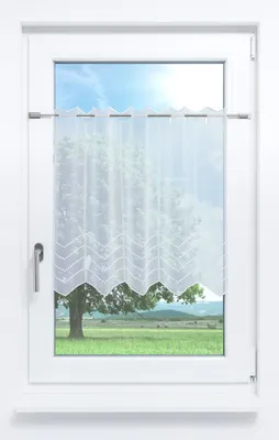 Produktbild von Scheibengardine Plauener Spitze - Melissa #1W (Bx H) 194,4cm * 60cm reinweiß/Weiß