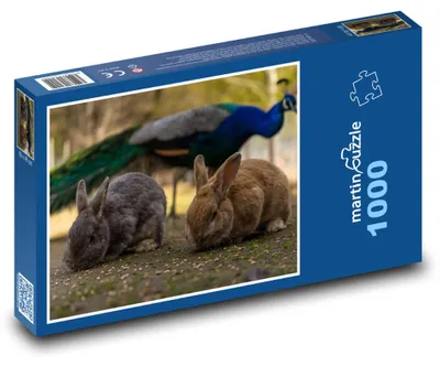 Obrázek produktu pro Puzzle 1000 Králici a páv v zahradě - martinpuzzle