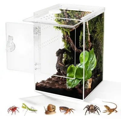 Produktbild von Terrarium 20x20x30cm - Acryl - Vogelspinnen- und Reptilienhalter - 360° Sicht