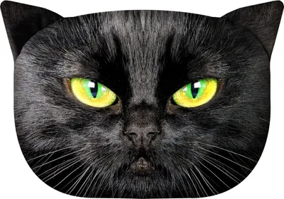 Image de Coussin pour chat Bertoni M - Nero 25 x 35 cm