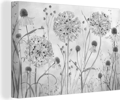 Produktbild von OneMillionCanvasses® - Leinwandbilder - 140x90 cm, Natur - Stilleben - Schwarz und weiß, Wandbilder Kunstdruck Wanddekoration