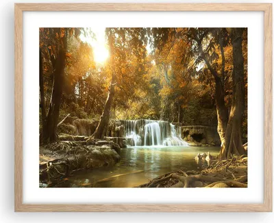 Produktbild von Gerahmtes Poster - Rahmen in heller Eiche - Park Wasserfall Wasser - 50x40 cm - Wand Bild - Wanddeko - Wandbilder - Wandposter - Bilderrahmen - Bilder - Kunstdruck - Wandbild - P2NAA50x40-3789