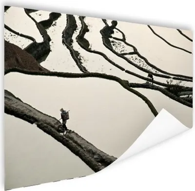 Produktbild von MuchoWow® Poster Chinesische Reisfelder Schwarz-Weiß-Fotodruck 120x80 cm - Bilder