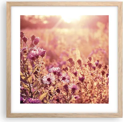 Produktbild von Gerahmtes Poster - Rahmen in heller Eiche - Wiese Blumen Sonne - 40x40 cm - Wand Bild - Wanddeko - Wandbilder - Kunstposter - Wandposter - Bilderrahmen - Bilder - Kunstdruck - P2NAC40x40-4819