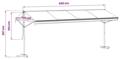 Productafbeelding van Luifel vrijstaand 600x300 cm antraciet