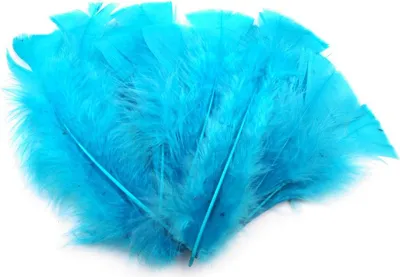 Produktbild von 20 Natur-Putenfedern, 11-17cm, Farbwahl, unterschiedliche Farben