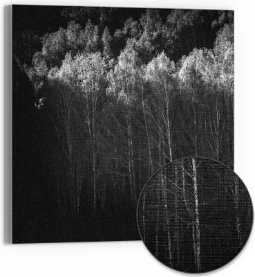 Produktbild von DEQORI Hybrid Leinwand Bild 30x30 cm 'Stille des Waldes' Wandbild Glas flach modern