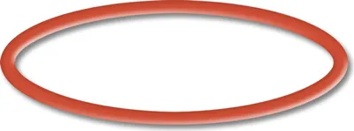 Immagine prodotto di Ricambio SunSun per pompa piscina O-ring 2, potente sistema di filtraggio per piscina, pompa filtro ad alta portata, robusta pompa per piscina