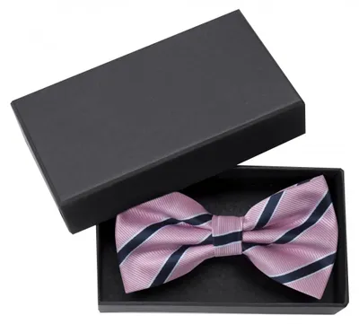 Produktbild von Fabio Farini - 1 Stück Rosa Herren Fliegen - Männer Querbinder Vorgebunden Bowtie Streifen - Rosa/Dunkelblau/Weiß - Fable/Marine Blue/White