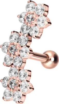 Produktbild von Ohrpiercing Titan Ohrpiercing 3 KRISTALLBLUMEN