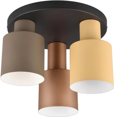 Produktbild von Trio Leuchten LED-Deckenleuchte Agudo E27 schwarz Metall