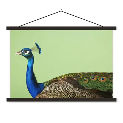 Produktbild von MuchoWow® Textilposter Pfau - Vogel - Federn 150x100 cm mit schwarzem Rahmen - Schlafzimmer