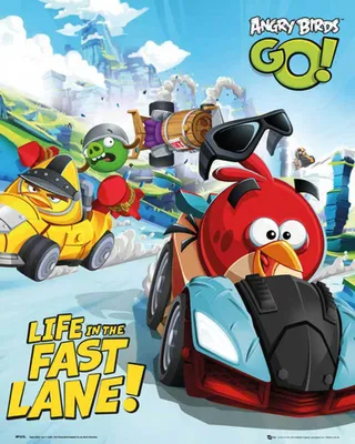 Produktbild von Angry Birds - Mini-Poster - Race
