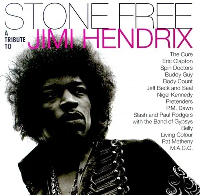 Produktbild von Various Artists - Stone Free (Coloured) (2 LP)