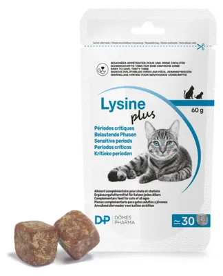 Produktbild von Lysine Plus Chat - TVM