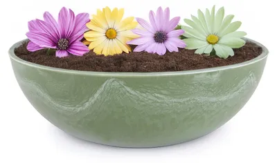 Immagine prodotto di Fioriera per esterni Ciotola decorativa rotonda verde vintage 25 cm