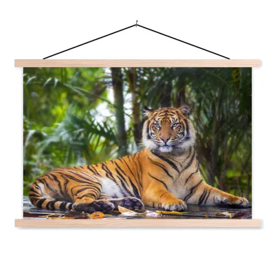 Produktbild von MuchoWow® Textilposter Tiger - Tiere - Wald - Dschungel 120x80 cm mit holzfarbenen Rahmen - Aufhängeset