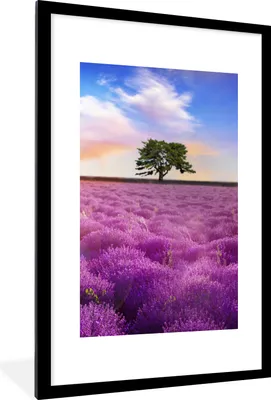 Produktbild von MuchoWow® Gerahmtes Poster Lavendel - Baum - Sonnenuntergang - Lila 60x90 cm - Poster mit Schwarzem Bilderrahmen Wandposter Rahmen Foto Bilder - Dekoration - Wandposter Wohnzimmer - Hochwertig