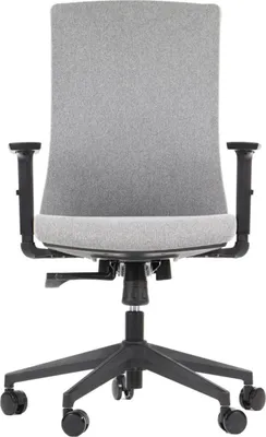 Produktbild von Ergonomischer Bürodrehstuhl TONO, Nylongestell, verstellbare Armlehnen, Grau