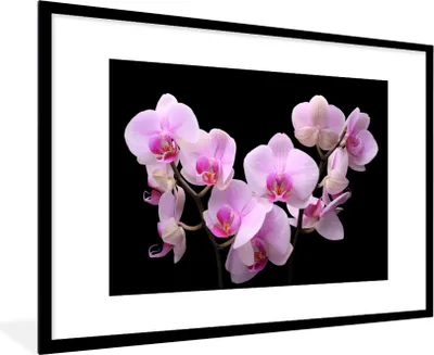 Produktbild von MuchoWow® Gerahmtes Poster Orchidee - Blumen - Rosa - Flora 90x60 cm - Poster mit Schwarzem Bilderrahmen Wandposter Rahmen Foto Bilder - Wanddekoration - Fotos