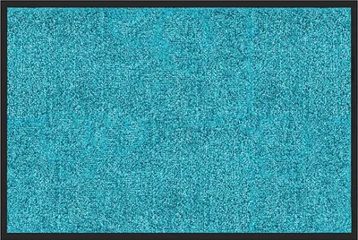 Produktbild von Floordirekt Schmutzfangmatte Rhine, Sauberlaufmatte rutschfest, waschbare Fußmatte Indoor Eingangsbereich, viele Größen & Farben - Türkis, 120x180 cm