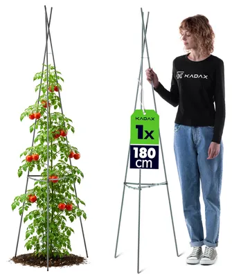 Immagine prodotto di KADAX Obelisco da sostegno 180 cm, 1 pezzo, colonna da sostegno in metallo con rivestimento in plastica, torre da sostegno per giardino, obelisco da sostegno per pomodori, clematidi e piante rampicanti