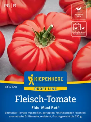Produktbild von Kiepenkerl Fleisch-Tomatensamen Fido-Maxi Rot F1 Solanum lycopersicum 7 Pflanzen