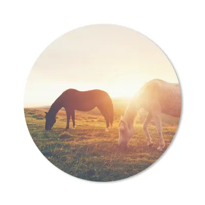 Produktbild von MuchoWow® Mauspad Mousepad Pferde - Sonne - Tiere 20x20 cm - Mousepads - Maus Mat - Pad - Mausunterlage - Schreibtischmatte