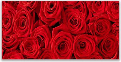 Produktbild von Glasbilder 120x60 Wandbild Druck auf Glas Rosen Pflanzen