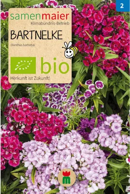 Produktbild von Bartnelken einfach Mischung - Saatgut für zirka 50 Pflanzen