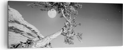 Produktbild von Bild auf Leinwand - Leinwandbild - Einteilig - Voll der Mond Baum - 140x50cm - Wand Bild - Wanddeko - Wandbilder - Leinwanddruck - Bilder - Wanddekoration - Leinwand bilder - Wandbild - AB140x50-4689