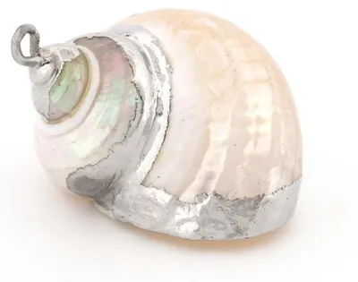 Produktbild von Vintageparts Anhänger echte Muschel Perlmuttdesign mit Eisenöse 23 bis 29 mm, 1 Stück