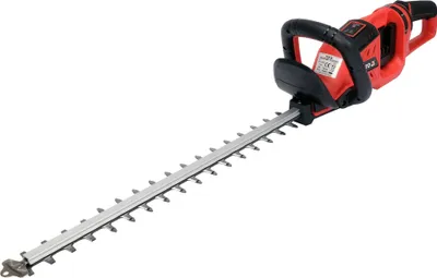 Image de Taille-haie sans fil 36V 55 cm (sans batterie)
