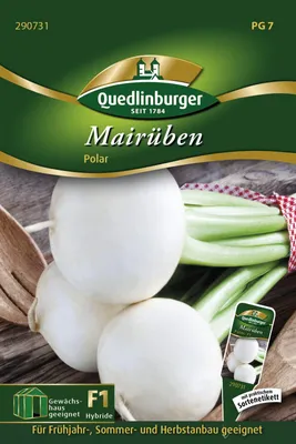 Produktbild von Mairüben Polar | Mairübensamen von Quedlinburger