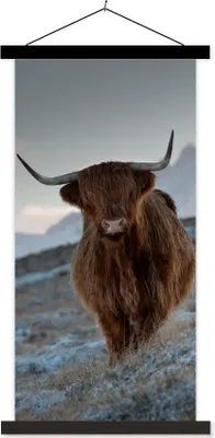 Produktbild von MuchoWow® Textilposter Schottisches Hochlandrind - Landschaft - Schottland 40x80 cm mit schwarzem Rahmen - Wandemalerei