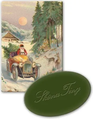 Immagine prodotto di Sapone regalo Foresta di Natale 25 g