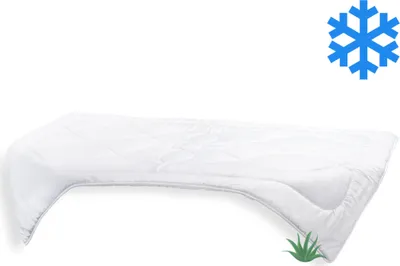 Obrázek produktu pro Prodloužená přikrývka Aloe Vera 140x220cm zimní 1430g