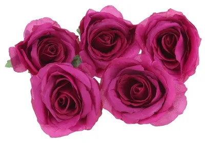 Immagine prodotto di Teste di rose artificiali, 5 pezzi, color rosa scuro