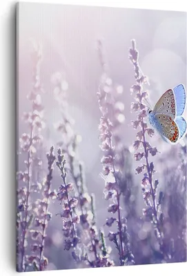 Produktbild von Bild auf Leinwand - Leinwandbild - Einteilig - Schmetterling Wiese Blume - 50x70cm - Wand Bild - Wanddeko - Wandbilder - Leinwanddruck - Wanddekoration - Leinwand bilder - Wandbild - PA50x70-4014