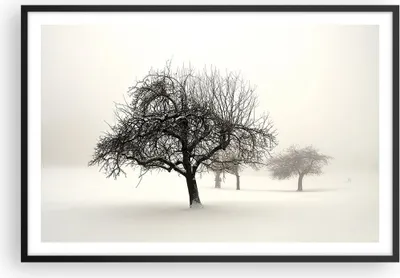 Produktbild von Gerahmtes Poster - Schwarzer Rahmen - Bäume Schnee Nebel - 91,5x61 cm - Wand Bild - Wanddeko - Wandbilder - Kunstposter - Wandposter - Bilderrahmen - Bilder - Kunstdruck - Wandbild - P2BAA91x61-4136