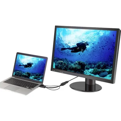 Productafbeelding van Renkforce RF-4777274 HDMI / DisplayPort adapterkabel [1x HDMI-connector, USB 2.0 connector type A - 1x DisplayPort-aansluiting] - Zwitserland